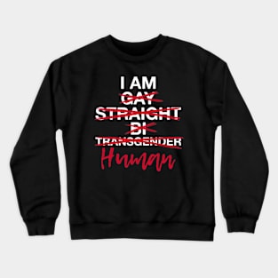 I am Human Gay Straight Bi Trans World Human Rights Day Crewneck Sweatshirt